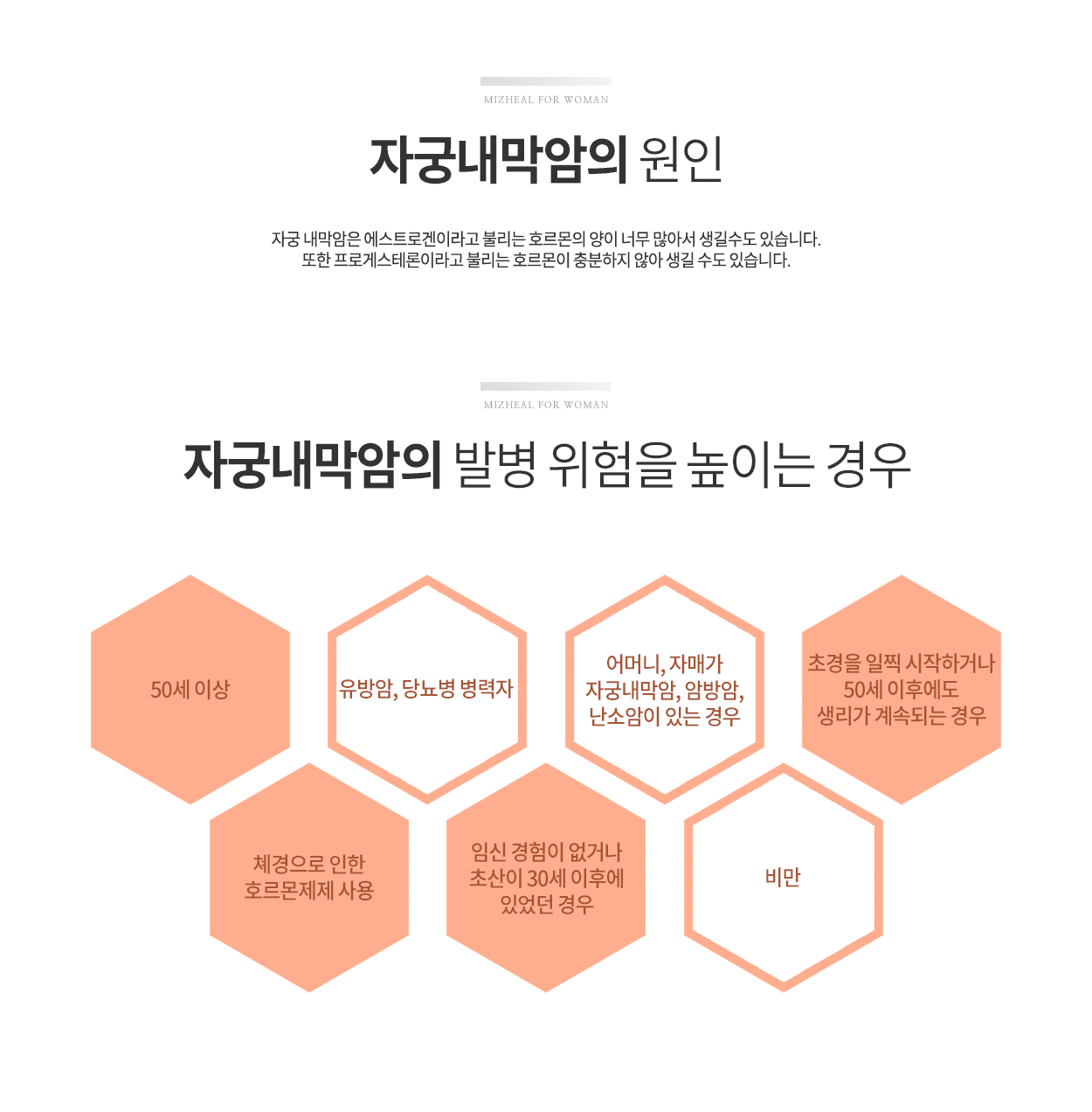 자궁내막암 원인